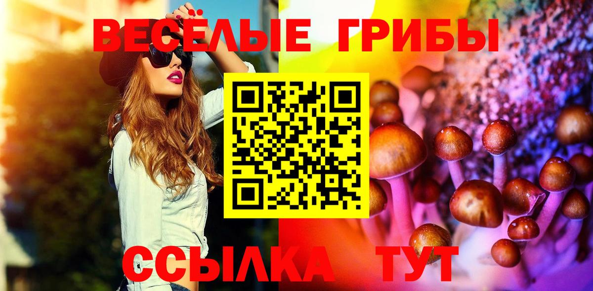 Галлюциногенные грибы мухоморы  Вход с VPN  Псилоцибиновые грибы GOLDEN TEACHER  Орехово-Зуево 